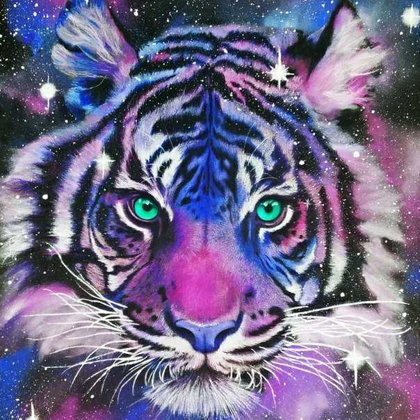Tiger im Sternenmeer