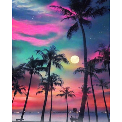 Palmenromantik